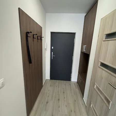 Apartment M21